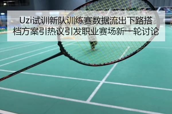 Uzi试训新队训练赛数据流出下路搭档方案引热议引发职业赛场新一轮讨论
